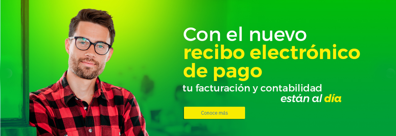 Recibo Electrónico de Pago